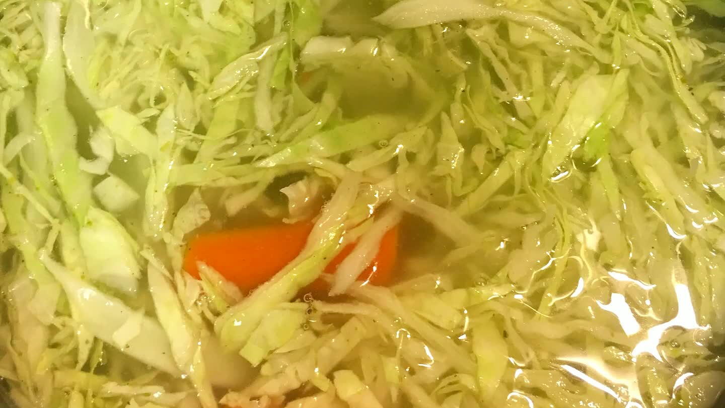 n. (Try to chop the cabbage into very thin long slices).