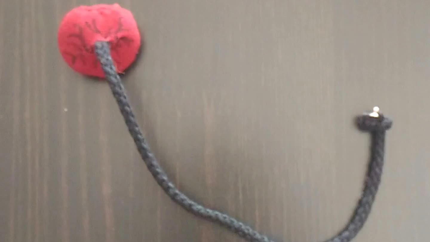 as veias (22cm de cordão)