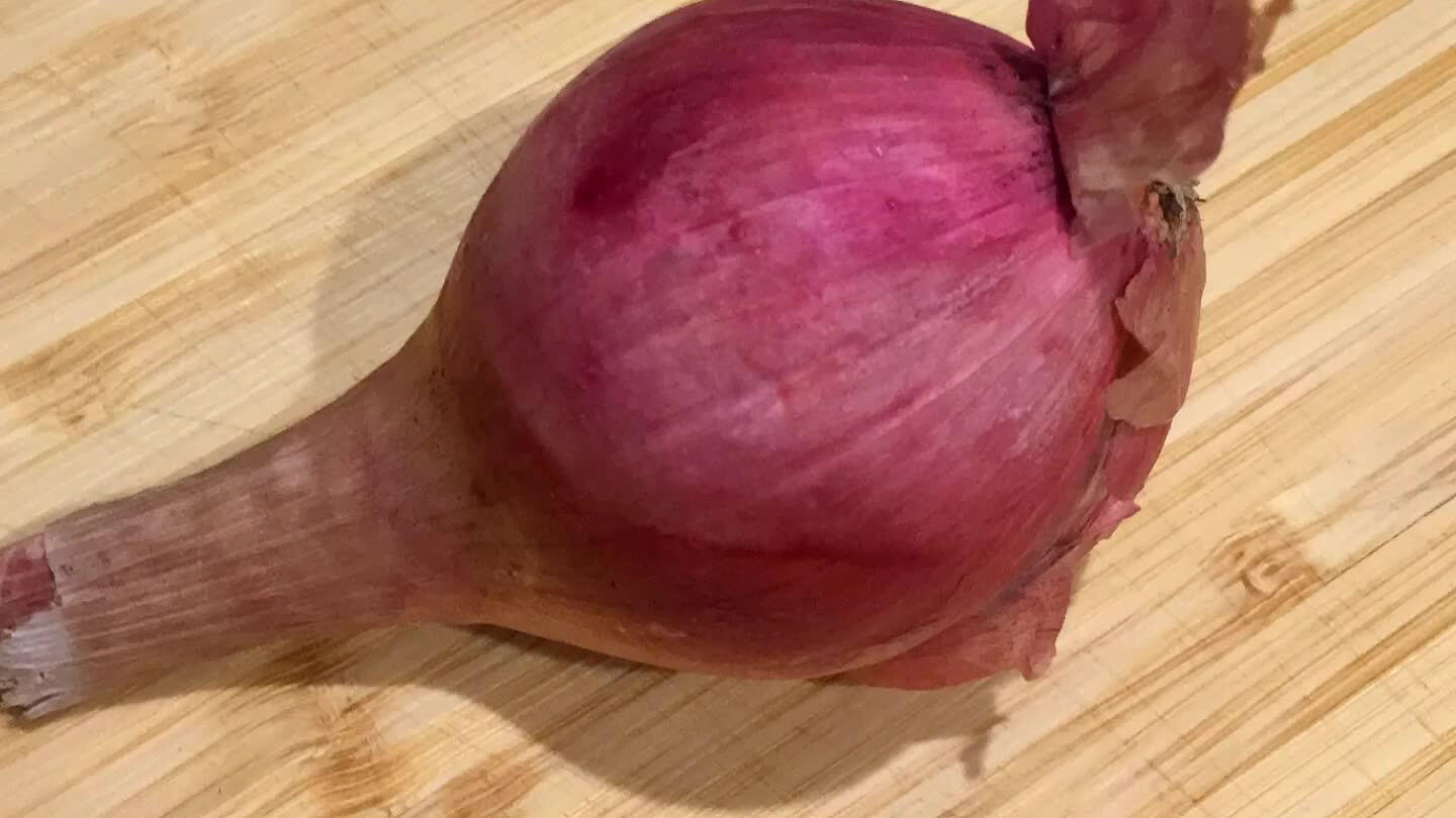 slice in half through the root tip.