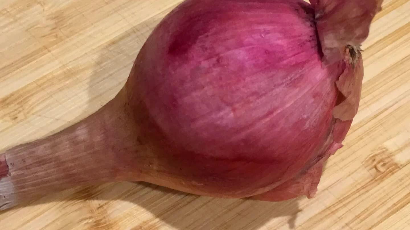 slice in half through the root tip.