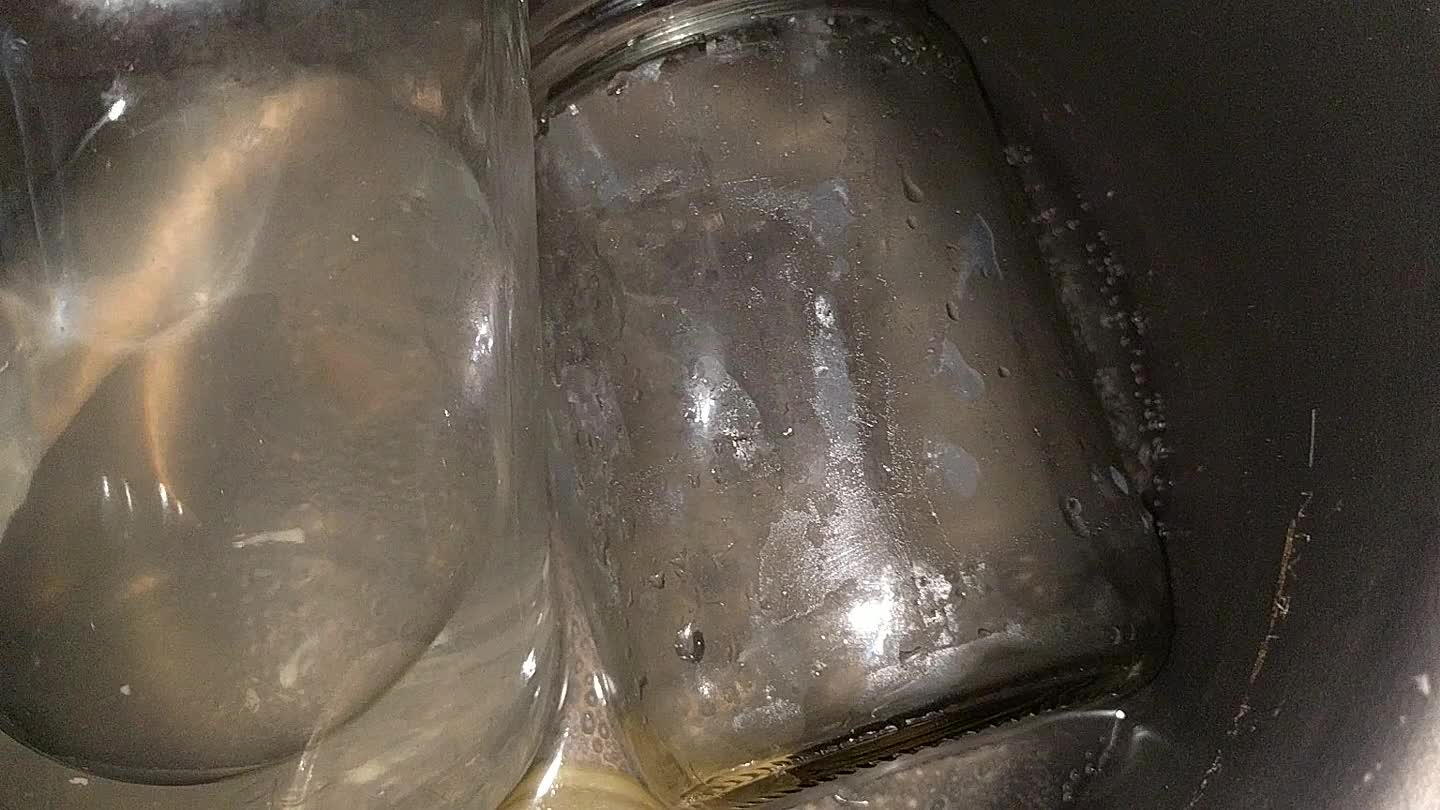 e as cebolas no vidro, a água fria, as folhas de louro