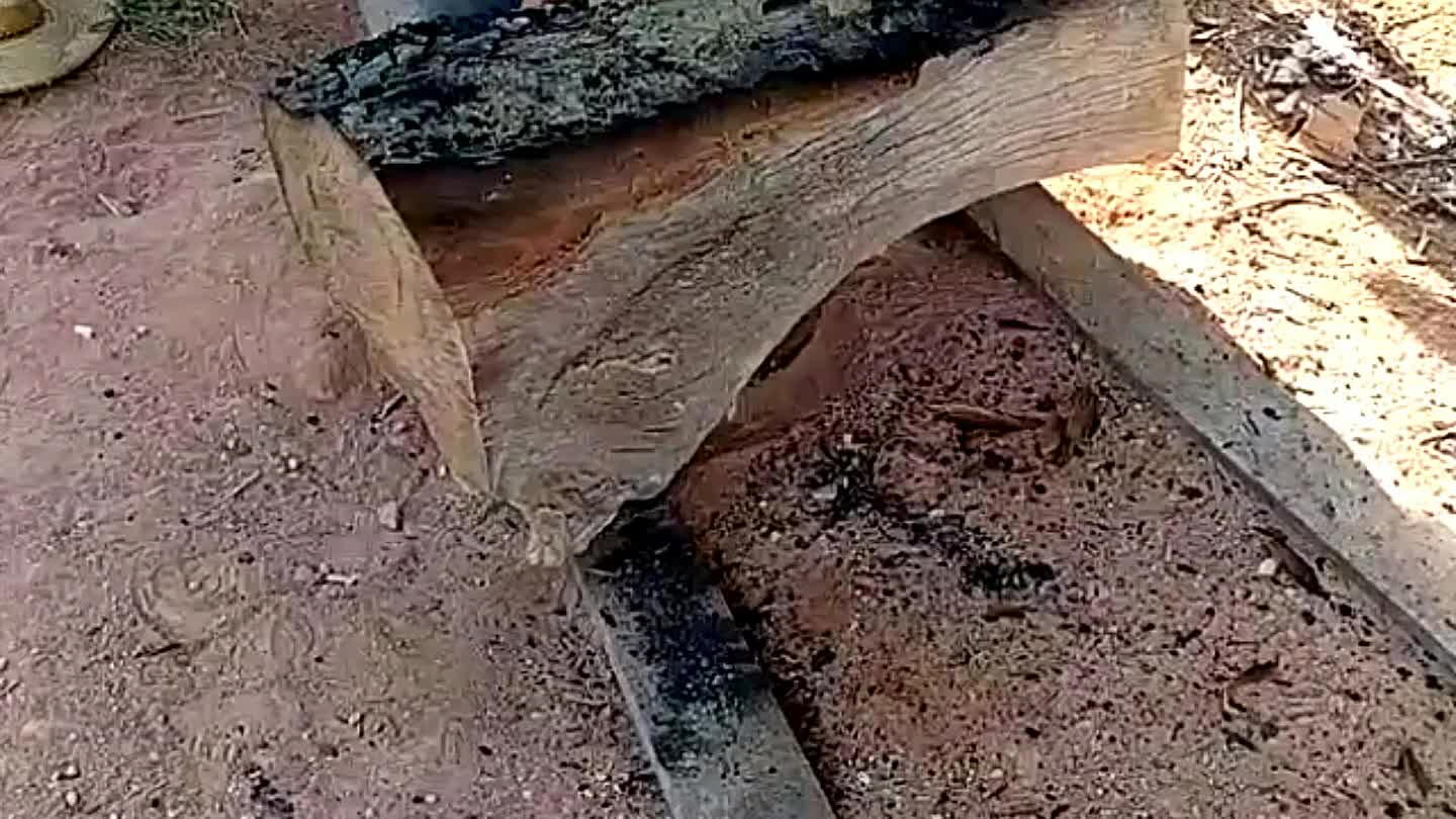 amolado proceder a lapinacão;