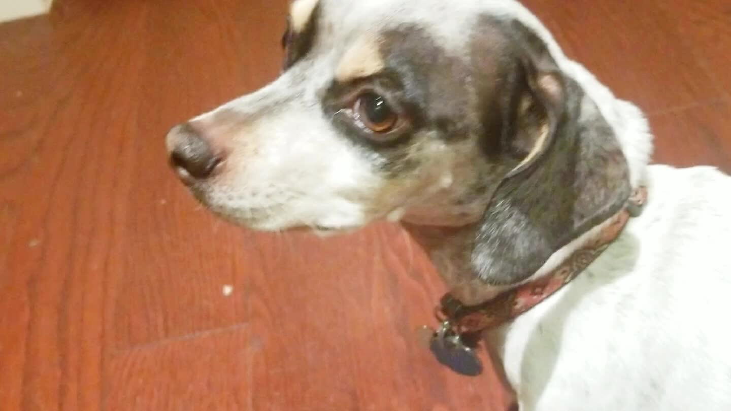 He's not impressed... Yet.