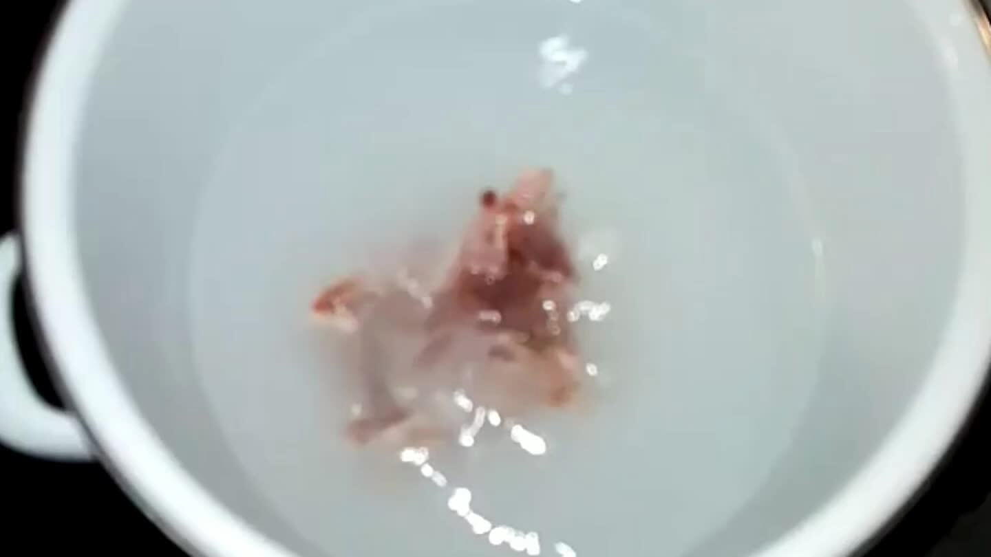 ni.