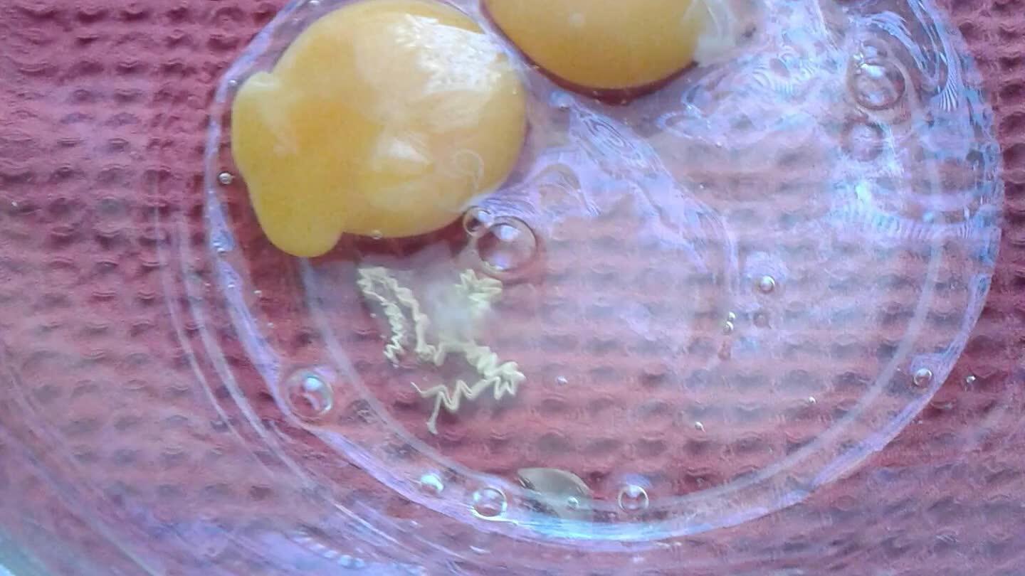 Dans un saladier casser les œufs et ajouter le sucre.