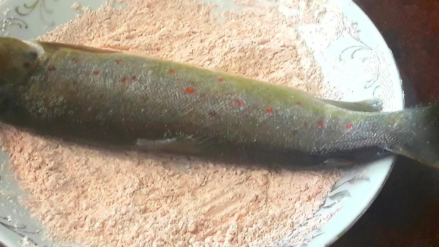 d preheat it in the oven. Salt the trout from both sides and from the inside well and Cover it in flour mixture. Don't forget under the fins and the inside area too !