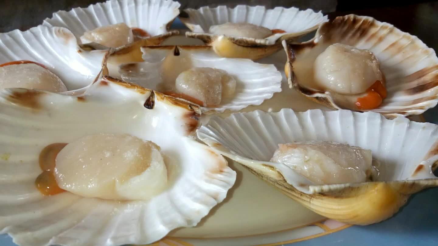 foto la cappa oliata.