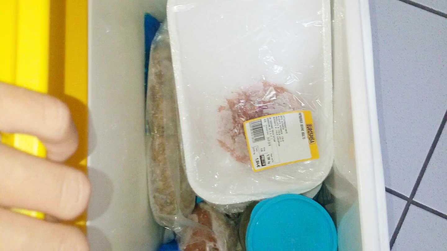 o del frigo.