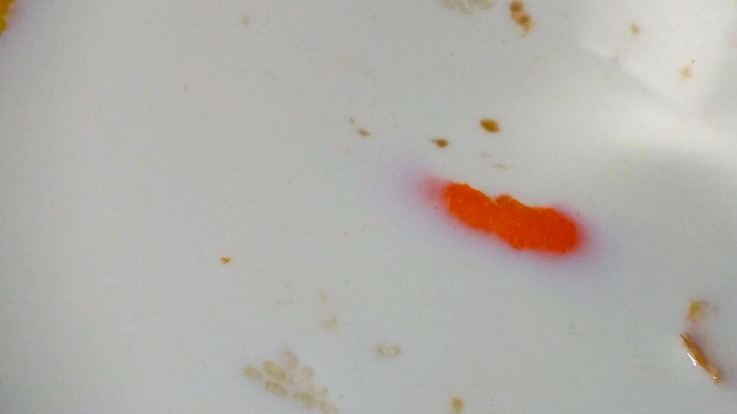vainilla (o unas gotas si es líquida). Añade la corteza de limón y la de naranja. Remueve y deja cocinar, a fuego suave, durante 40-45 minutos. Remueve cada 4-5 minutos para que no se pegue.