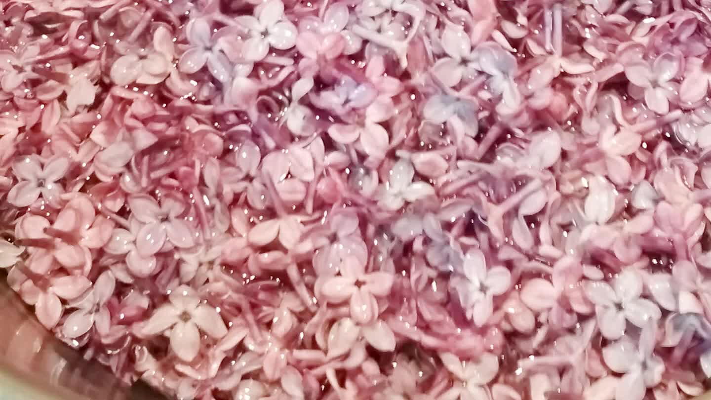 40 g kyseliny citronové a vložíme kvítka 🌸. Necháme nejméně 24 hodin macerovat na chladném místě.
