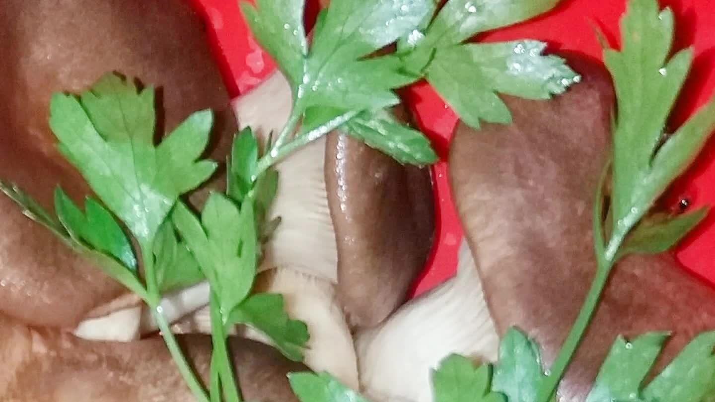 zemolo sminuzzato ... tagliare a spicchi i funghi ...cucinare a fuoco lento x 10 min. con il coperchio ... salare e aggiungere il vino e far assorbire x altri 10 min. ...