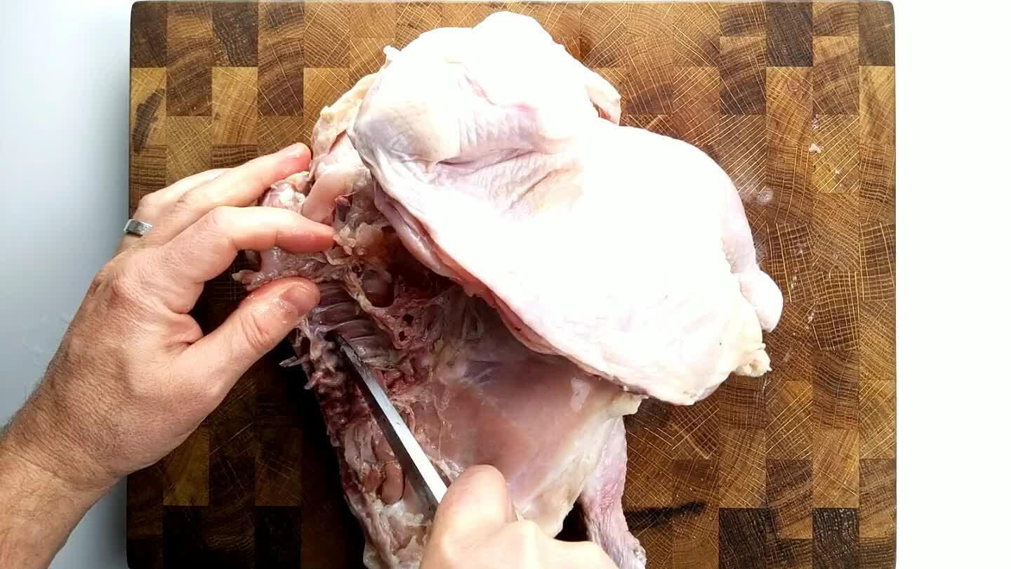 backbone, but it does make a great addition to a stock pot if you want to make some stock or broth. At this point, you can simply flip the chicken over and cook it as you please but I like to do a couple more little detail tasks to clean it up more neatly.