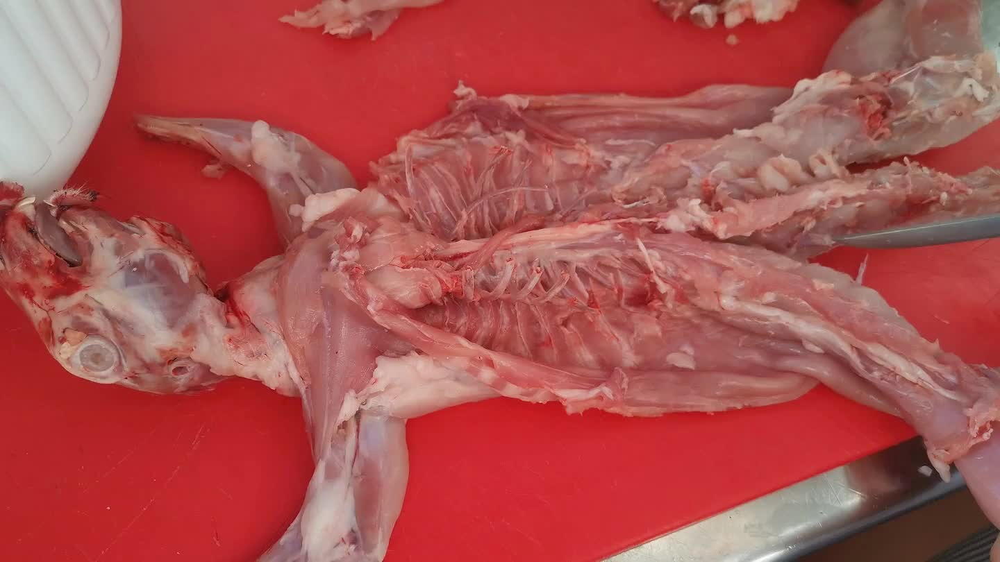si farΓ in seguito