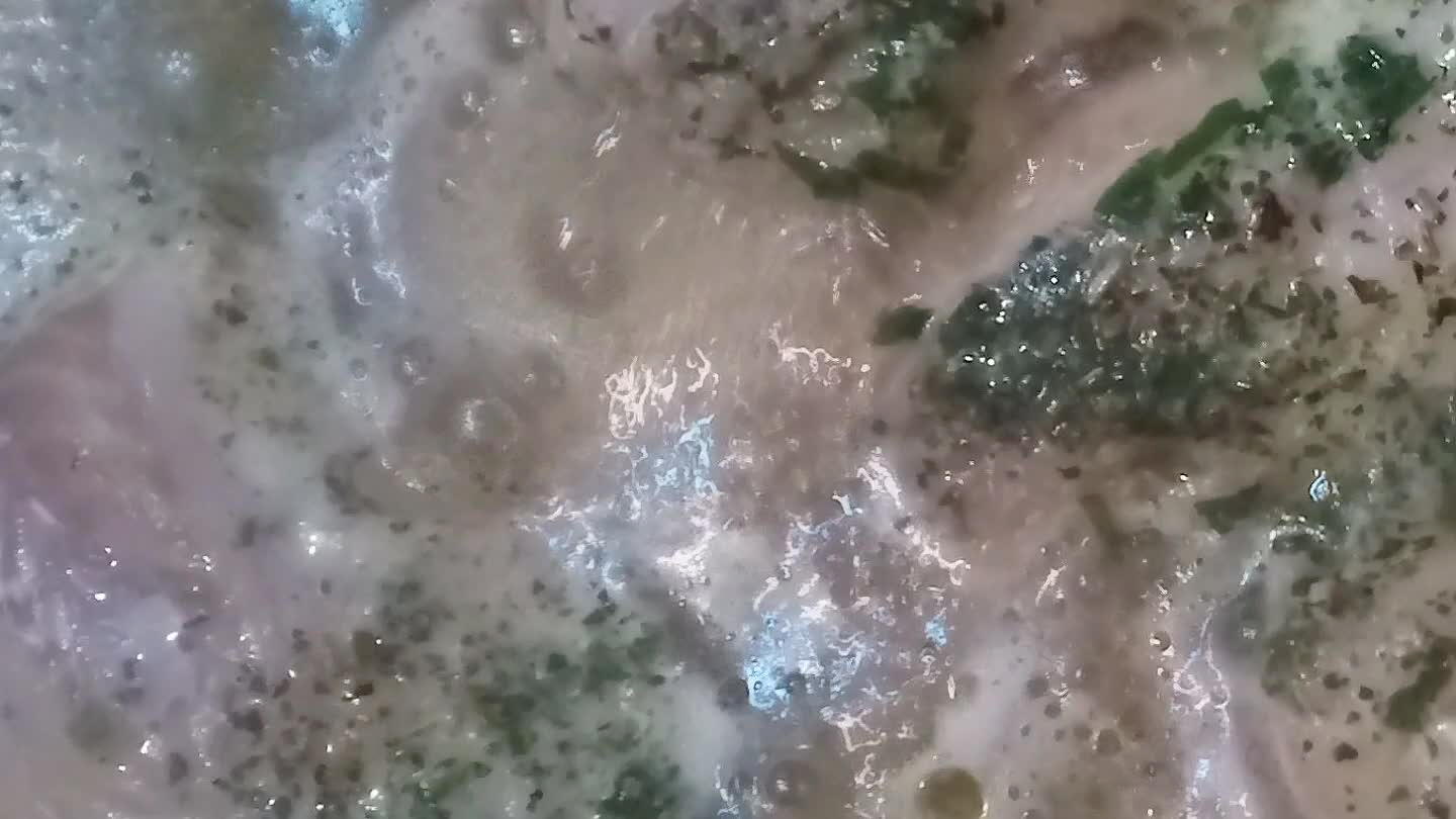 la cottura per altri 5 min...