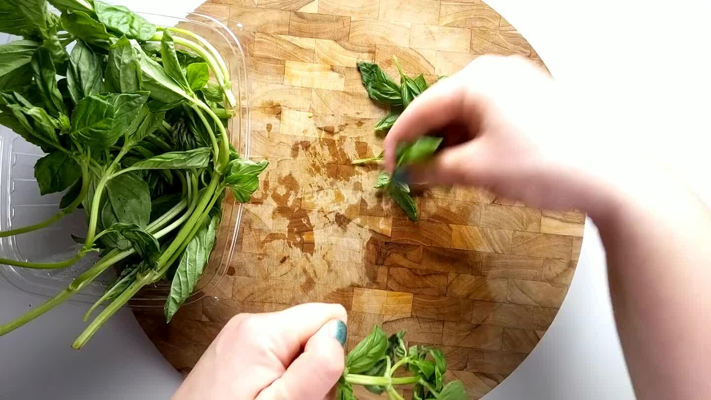 container of a food processor or blender.