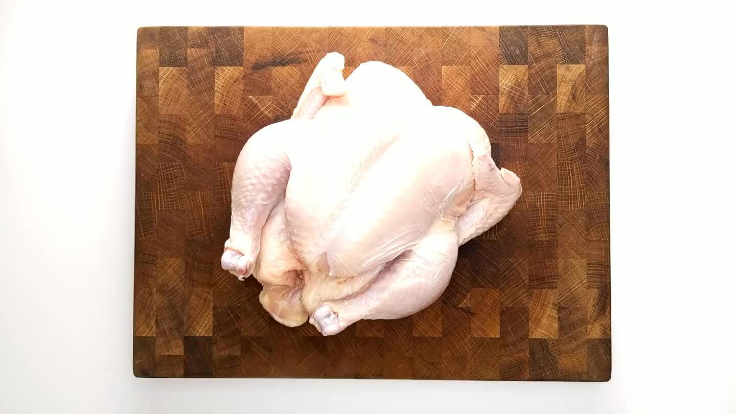 shoulders and behind the bird.