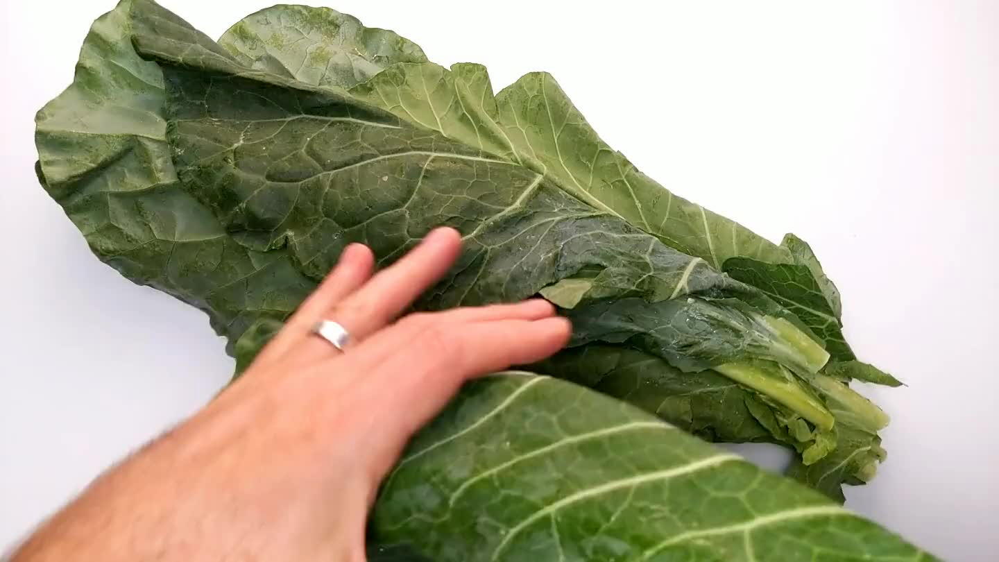 of the leaf and pulling with the opposite hand to drag the stem through your pinched fingers.