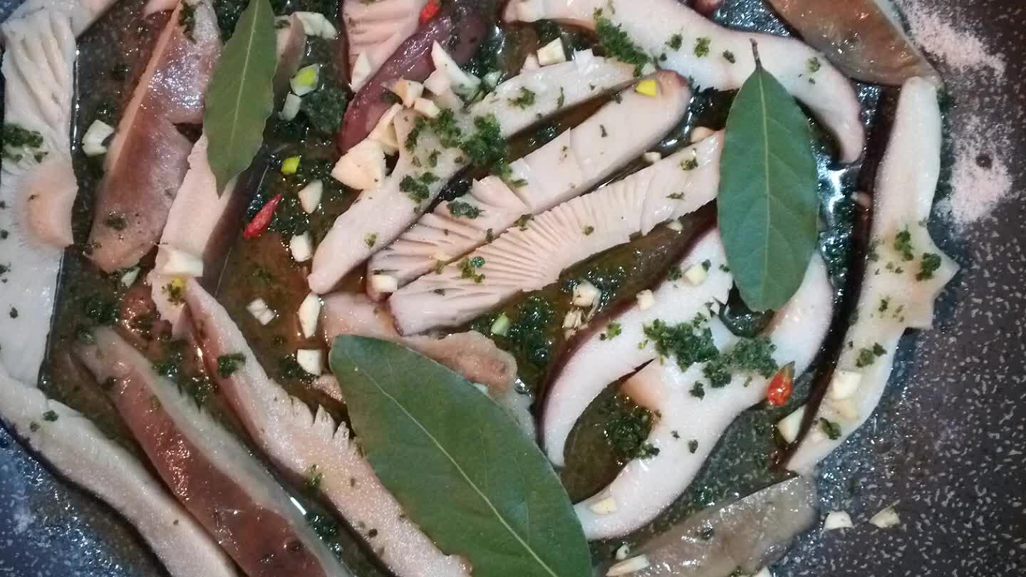 di Alloro .