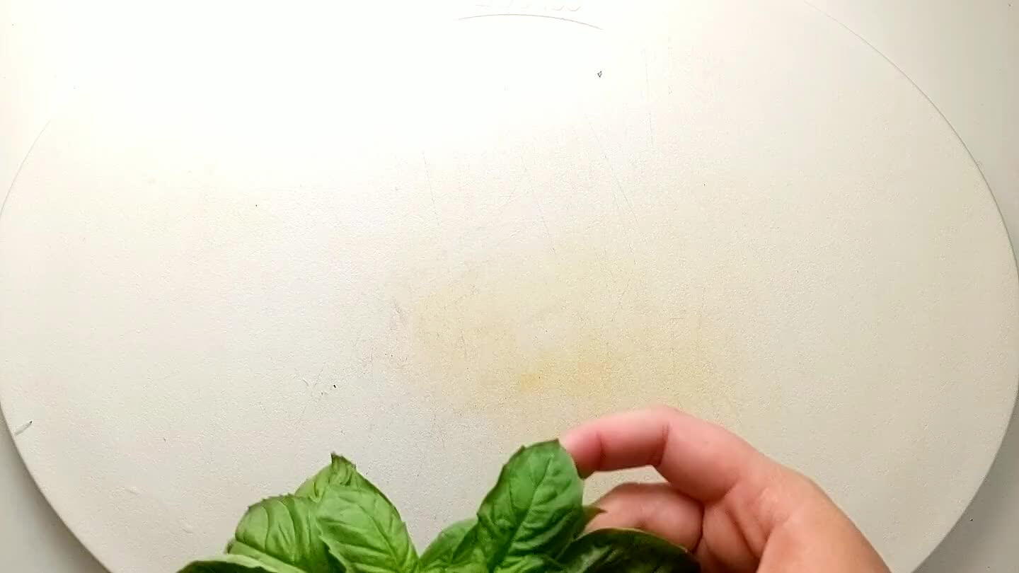 ce.